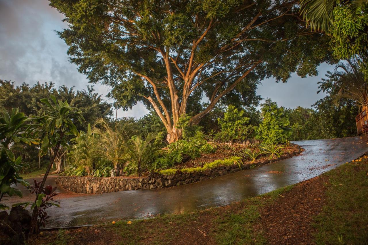 Banyan Tree Sanctuary Guest House Kalaoa Exterior foto